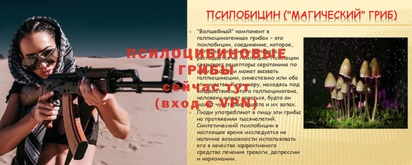герыч Арсеньев