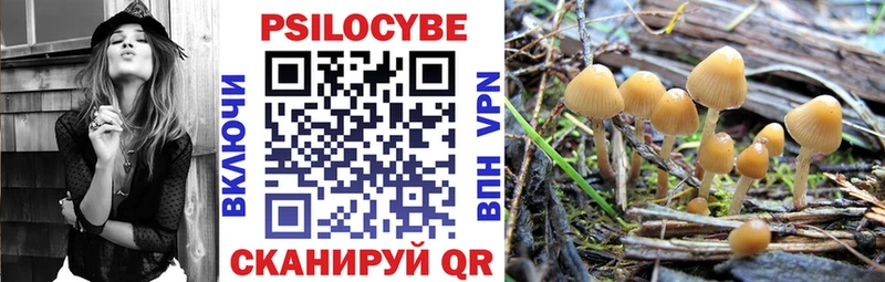 Псилоцибиновые грибы MAGIC MUSHROOMS  сколько стоит  Краснотурьинск 